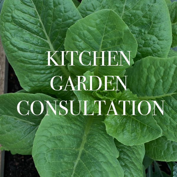 Kitchen Garden Consultation